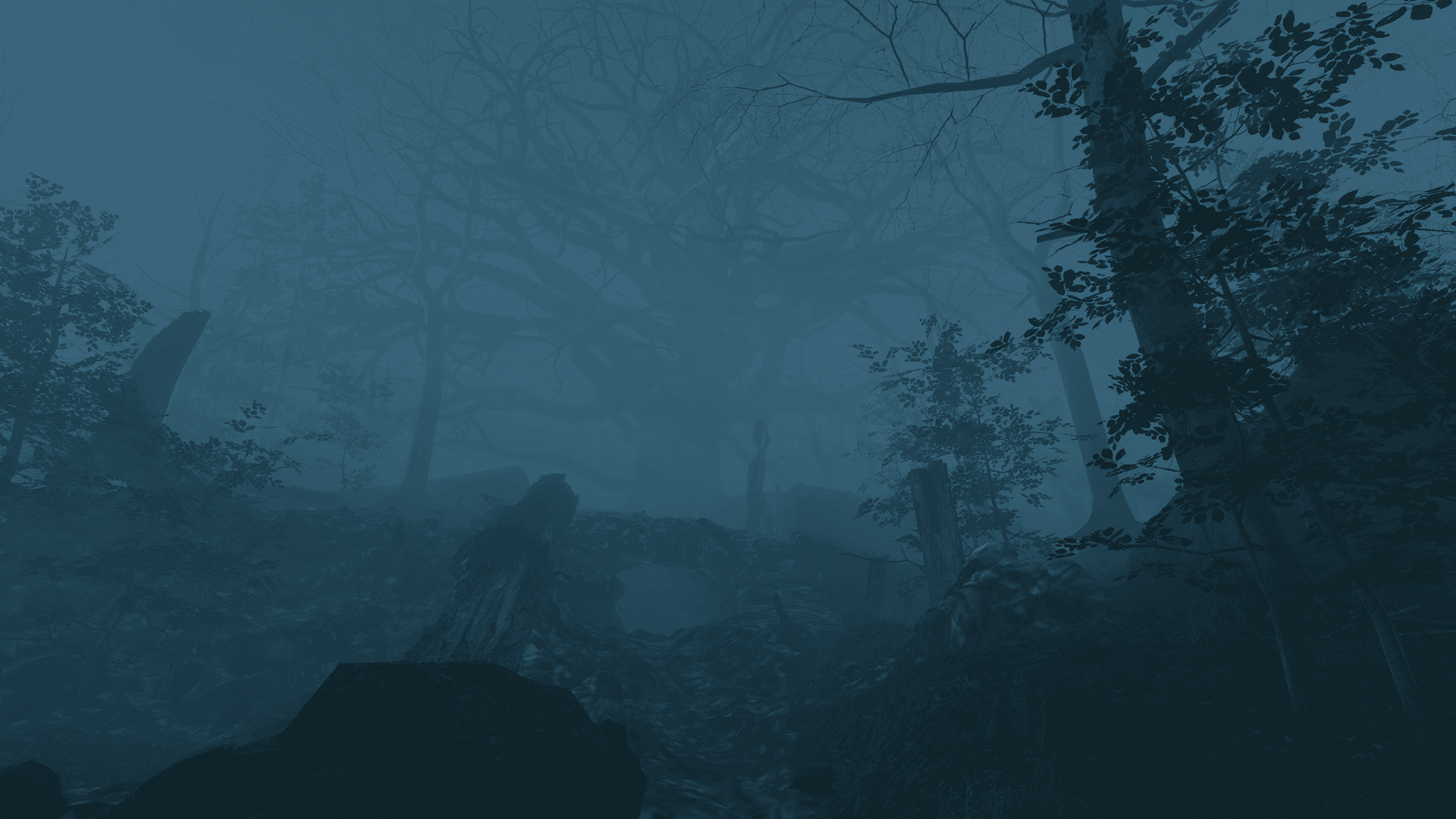 EchoesOfWittine3-min.png
